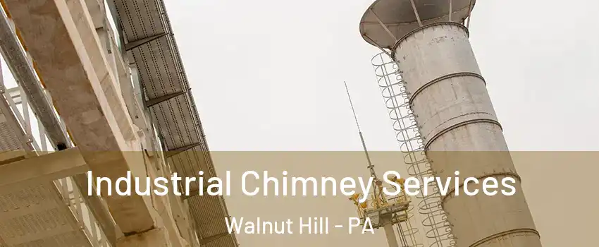 Industrial Chimney Services Walnut Hill - PA