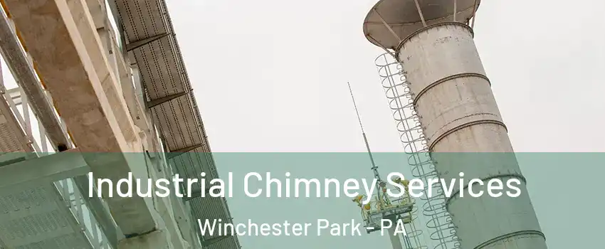 Industrial Chimney Services Winchester Park - PA
