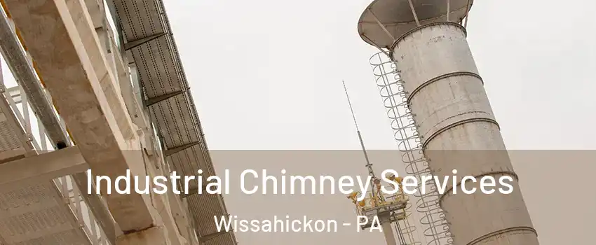 Industrial Chimney Services Wissahickon - PA