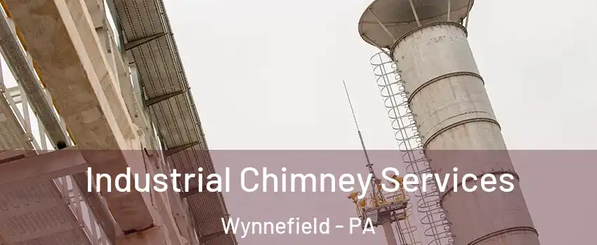 Industrial Chimney Services Wynnefield - PA