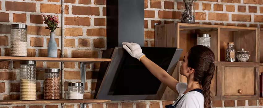 Chimney Installation in South Philadelphia, PA