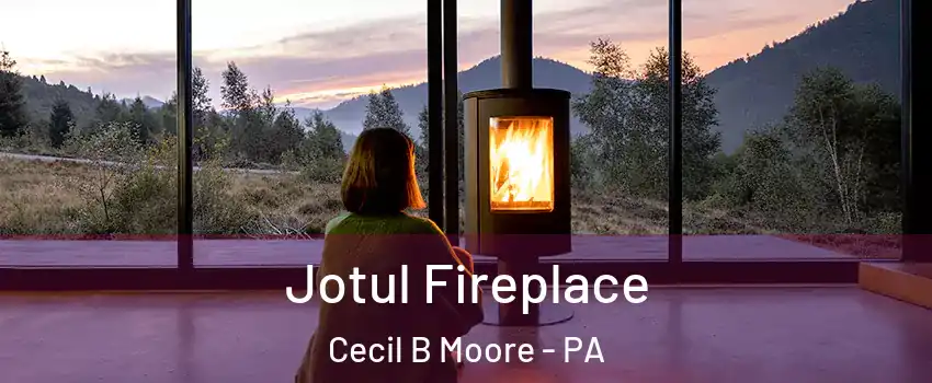 Jotul Fireplace Cecil B Moore - PA