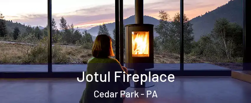 Jotul Fireplace Cedar Park - PA