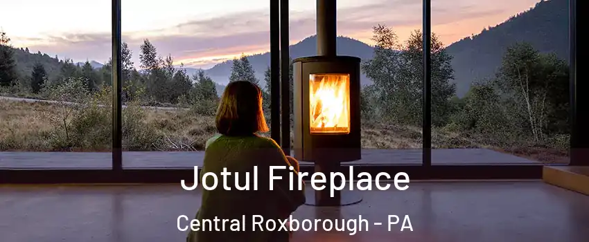 Jotul Fireplace Central Roxborough - PA