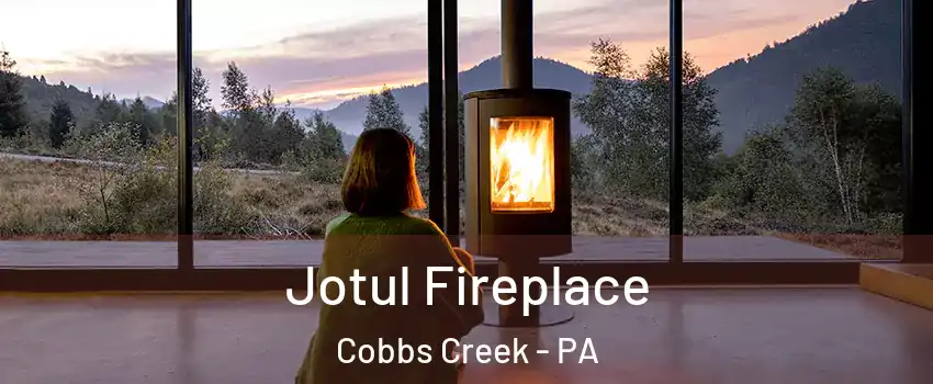 Jotul Fireplace Cobbs Creek - PA