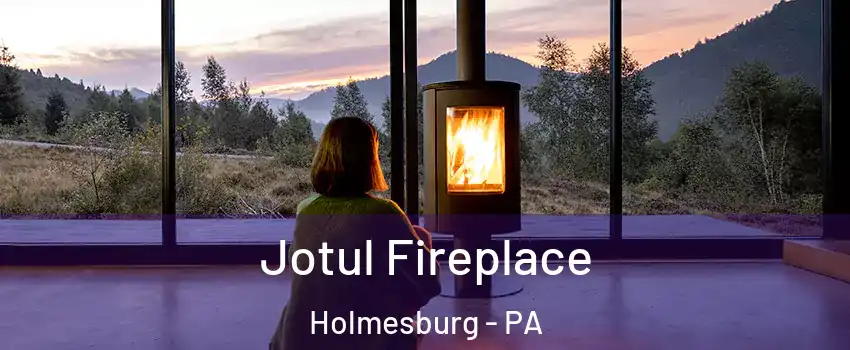 Jotul Fireplace Holmesburg - PA