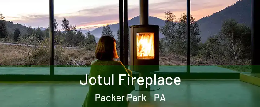 Jotul Fireplace Packer Park - PA