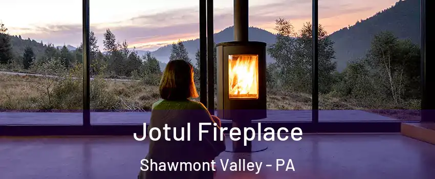 Jotul Fireplace Shawmont Valley - PA