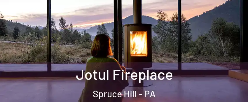 Jotul Fireplace Spruce Hill - PA
