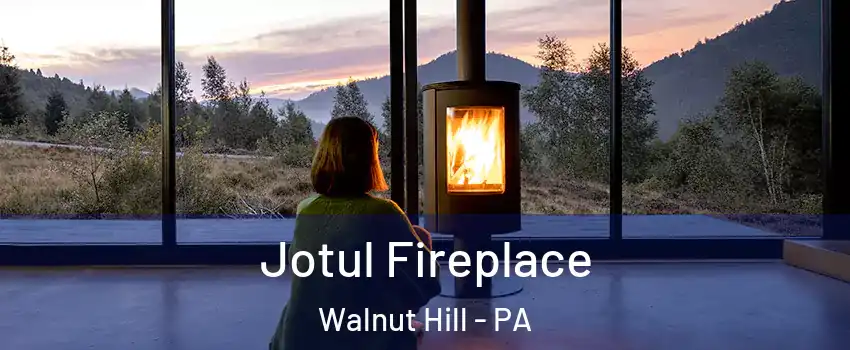 Jotul Fireplace Walnut Hill - PA