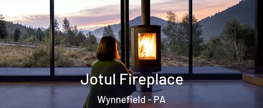 Jotul Fireplace Wynnefield - PA