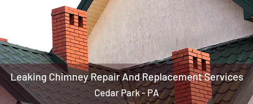 Leaking Chimney Repair And Replacement Services Cedar Park - PA