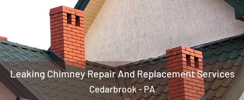 Leaking Chimney Repair And Replacement Services Cedarbrook - PA