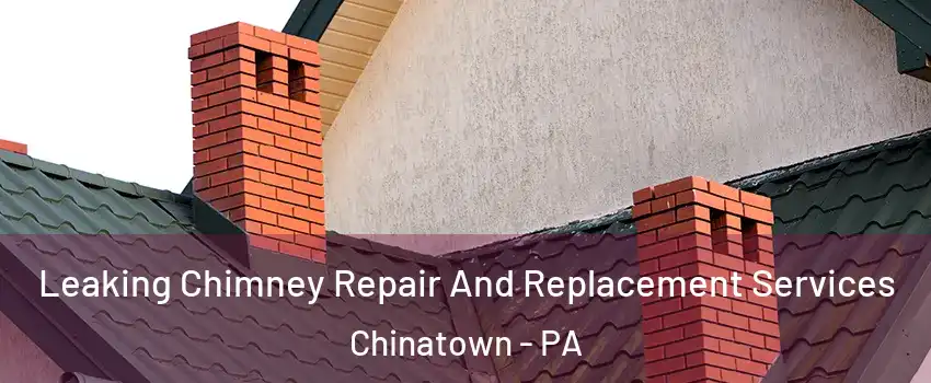 Leaking Chimney Repair And Replacement Services Chinatown - PA