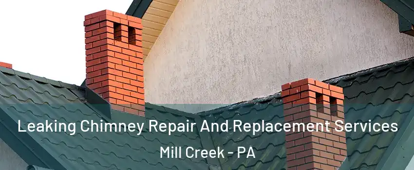 Leaking Chimney Repair And Replacement Services Mill Creek - PA