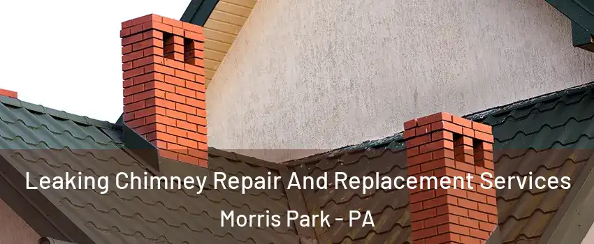 Leaking Chimney Repair And Replacement Services Morris Park - PA
