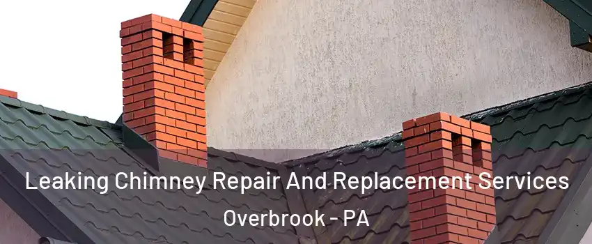 Leaking Chimney Repair And Replacement Services Overbrook - PA