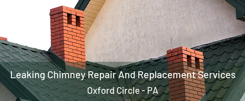 Leaking Chimney Repair And Replacement Services Oxford Circle - PA
