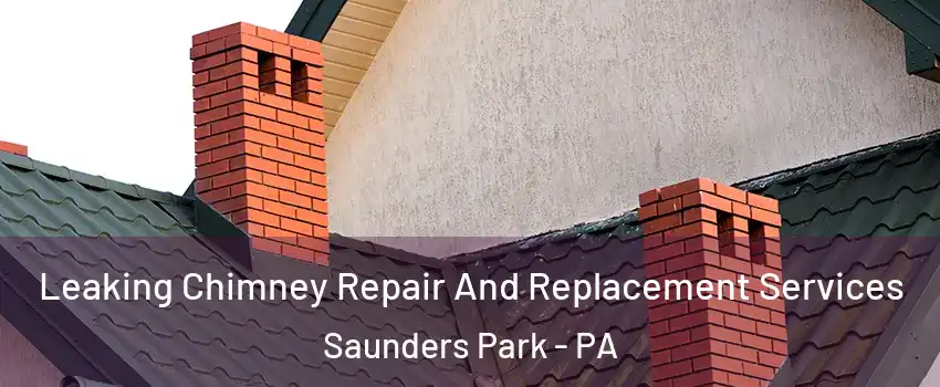 Leaking Chimney Repair And Replacement Services Saunders Park - PA