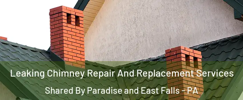 Leaking Chimney Repair And Replacement Services Shared By Paradise and East Falls - PA