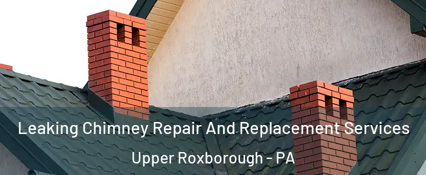 Leaking Chimney Repair And Replacement Services Upper Roxborough - PA