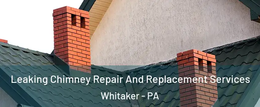 Leaking Chimney Repair And Replacement Services Whitaker - PA
