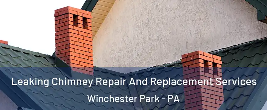 Leaking Chimney Repair And Replacement Services Winchester Park - PA