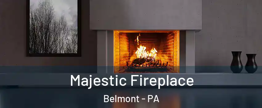 Majestic Fireplace Belmont - PA