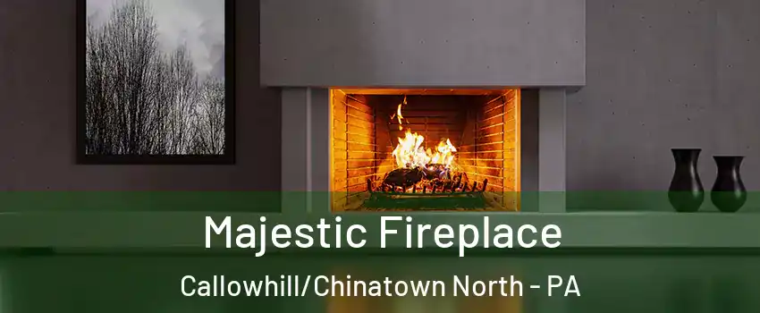 Majestic Fireplace Callowhill/Chinatown North - PA