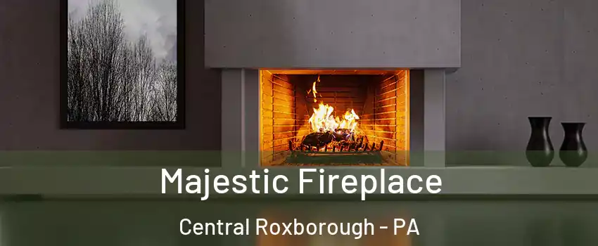 Majestic Fireplace Central Roxborough - PA