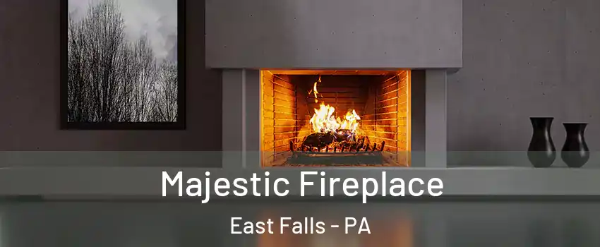 Majestic Fireplace East Falls - PA