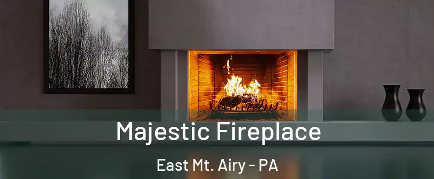 Majestic Fireplace East Mt. Airy - PA