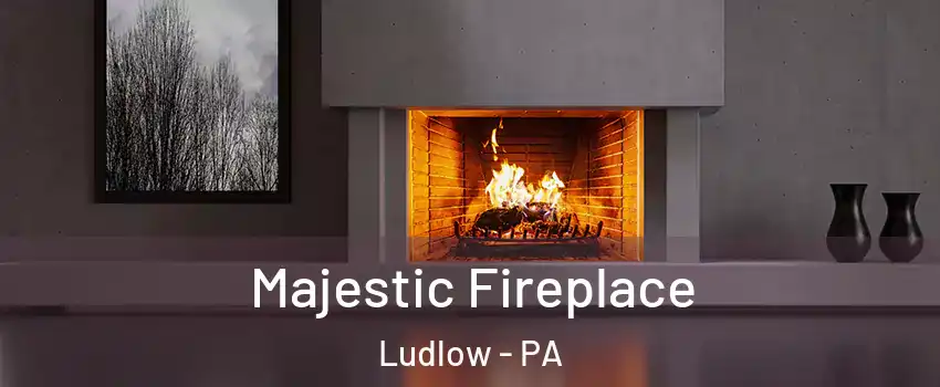Majestic Fireplace Ludlow - PA