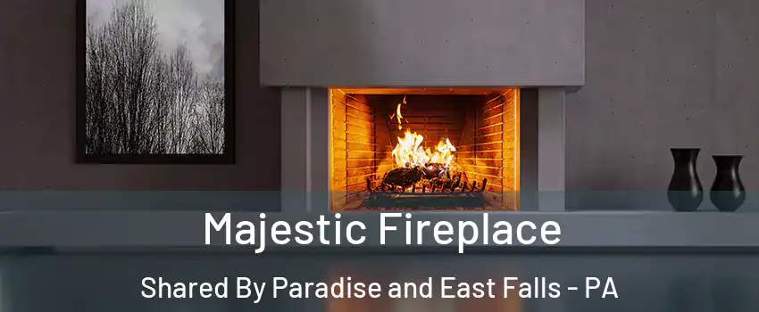 Majestic Fireplace Shared By Paradise and East Falls - PA