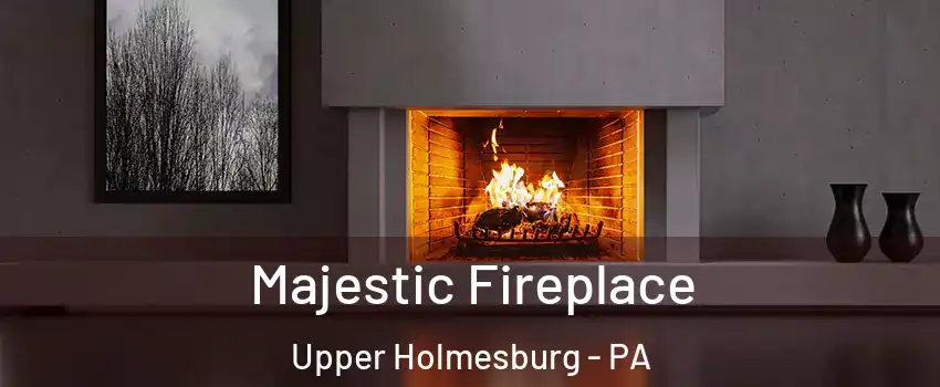 Majestic Fireplace Upper Holmesburg - PA
