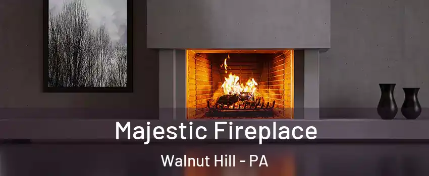 Majestic Fireplace Walnut Hill - PA