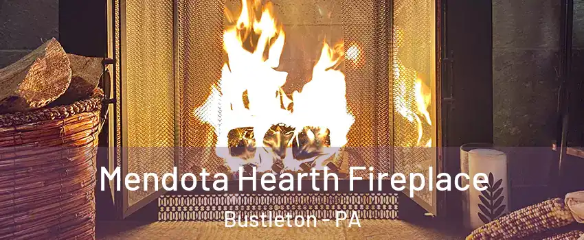 Mendota Hearth Fireplace Bustleton - PA