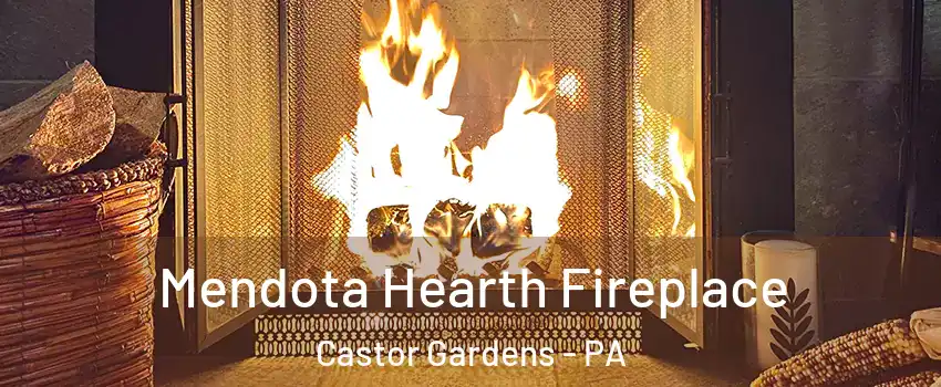 Mendota Hearth Fireplace Castor Gardens - PA