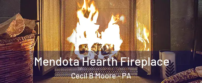 Mendota Hearth Fireplace Cecil B Moore - PA