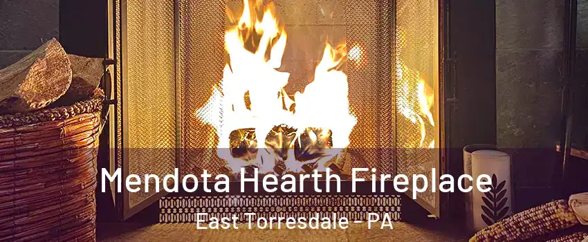 Mendota Hearth Fireplace East Torresdale - PA