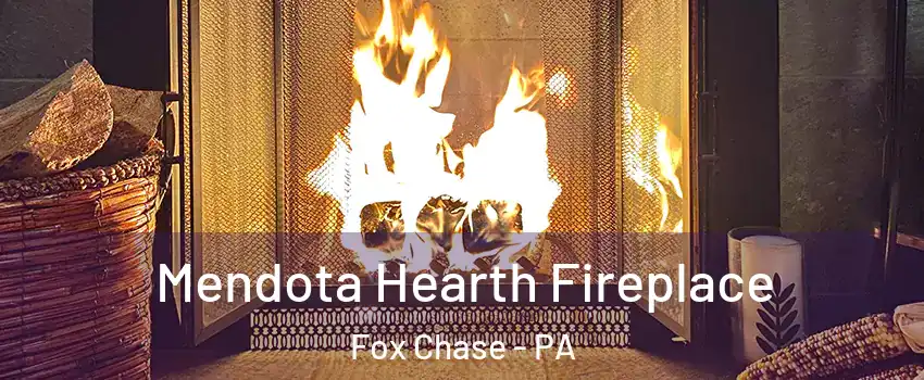 Mendota Hearth Fireplace Fox Chase - PA