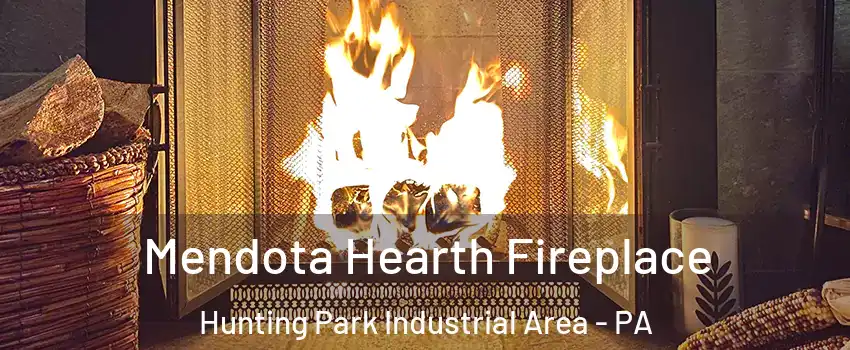 Mendota Hearth Fireplace Hunting Park Industrial Area - PA