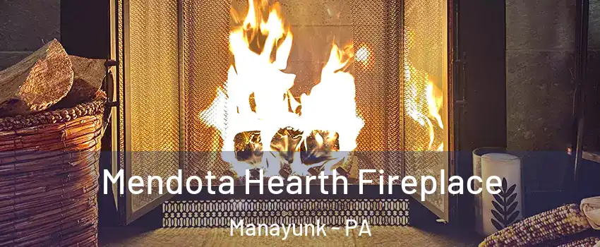 Mendota Hearth Fireplace Manayunk - PA