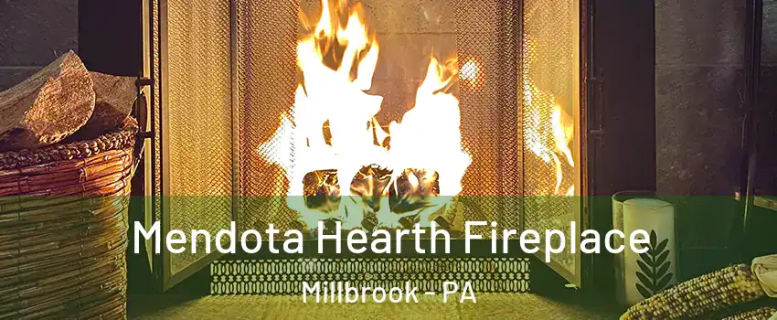 Mendota Hearth Fireplace Millbrook - PA