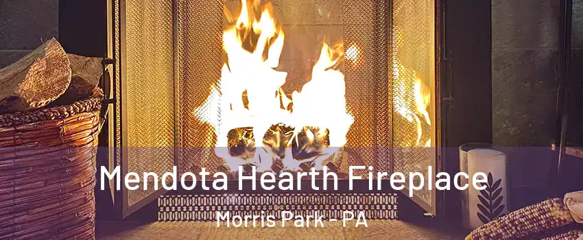 Mendota Hearth Fireplace Morris Park - PA