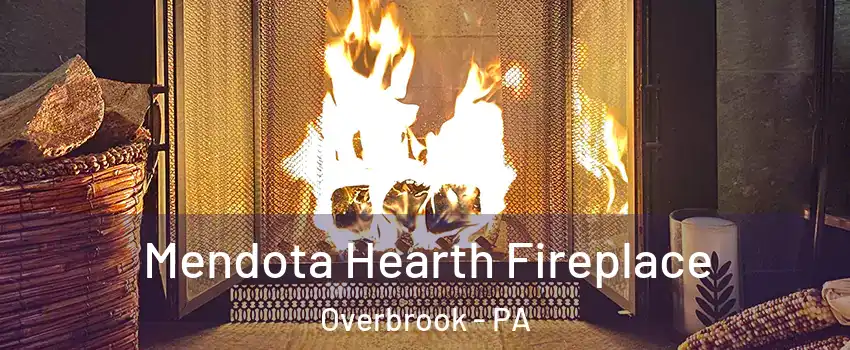 Mendota Hearth Fireplace Overbrook - PA