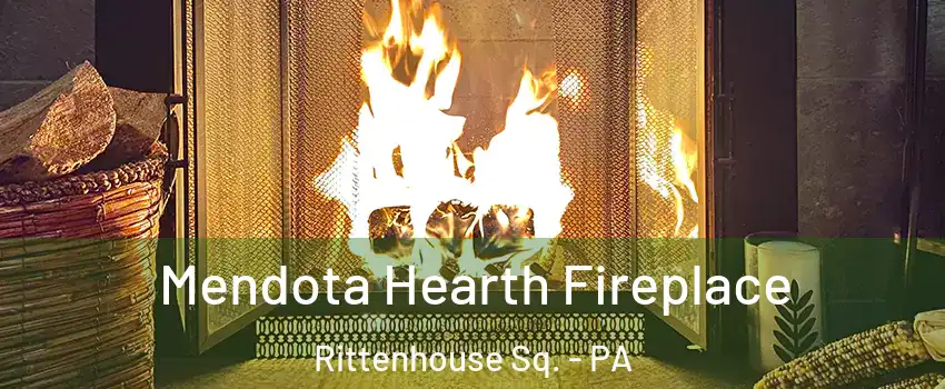 Mendota Hearth Fireplace Rittenhouse Sq. - PA