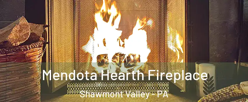Mendota Hearth Fireplace Shawmont Valley - PA