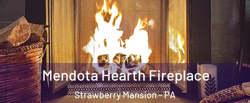 Mendota Hearth Fireplace Strawberry Mansion - PA