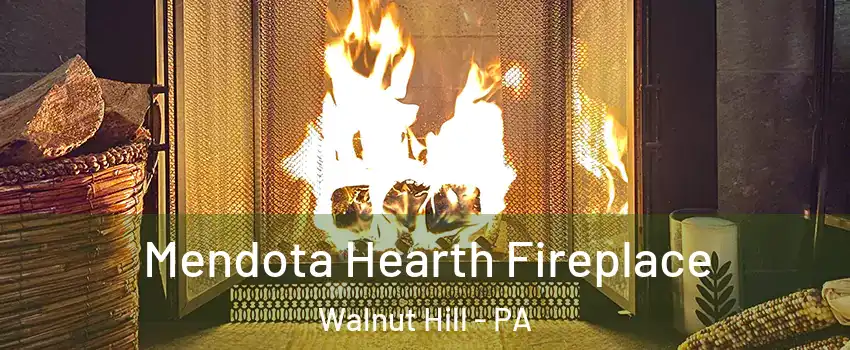 Mendota Hearth Fireplace Walnut Hill - PA